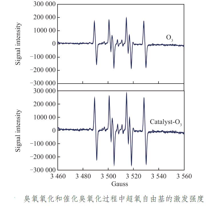 催化臭氧化反应器